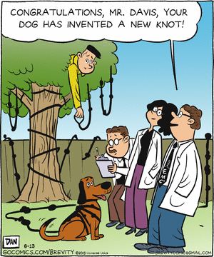 brevity
